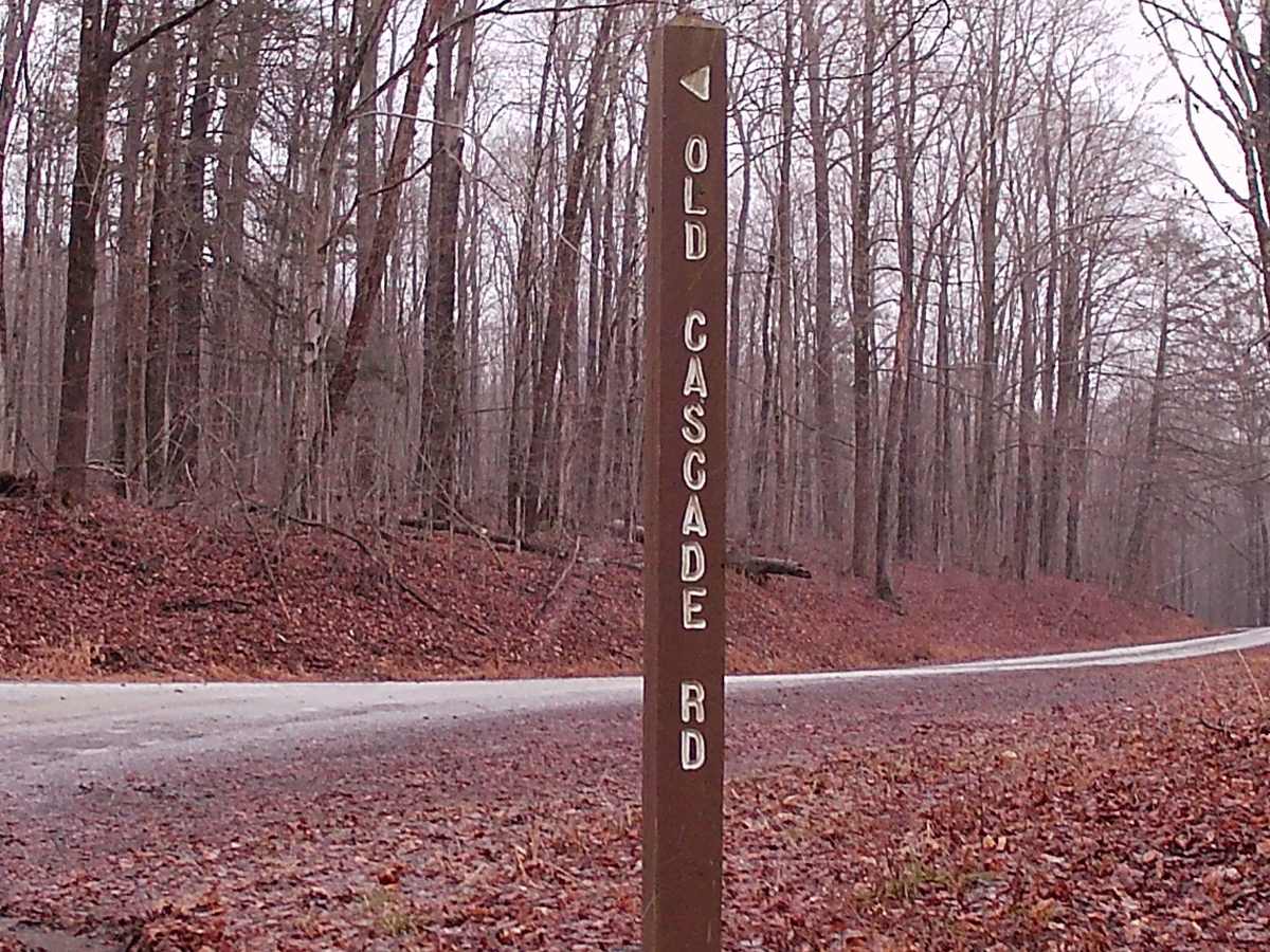 Cascade Road trail photo
