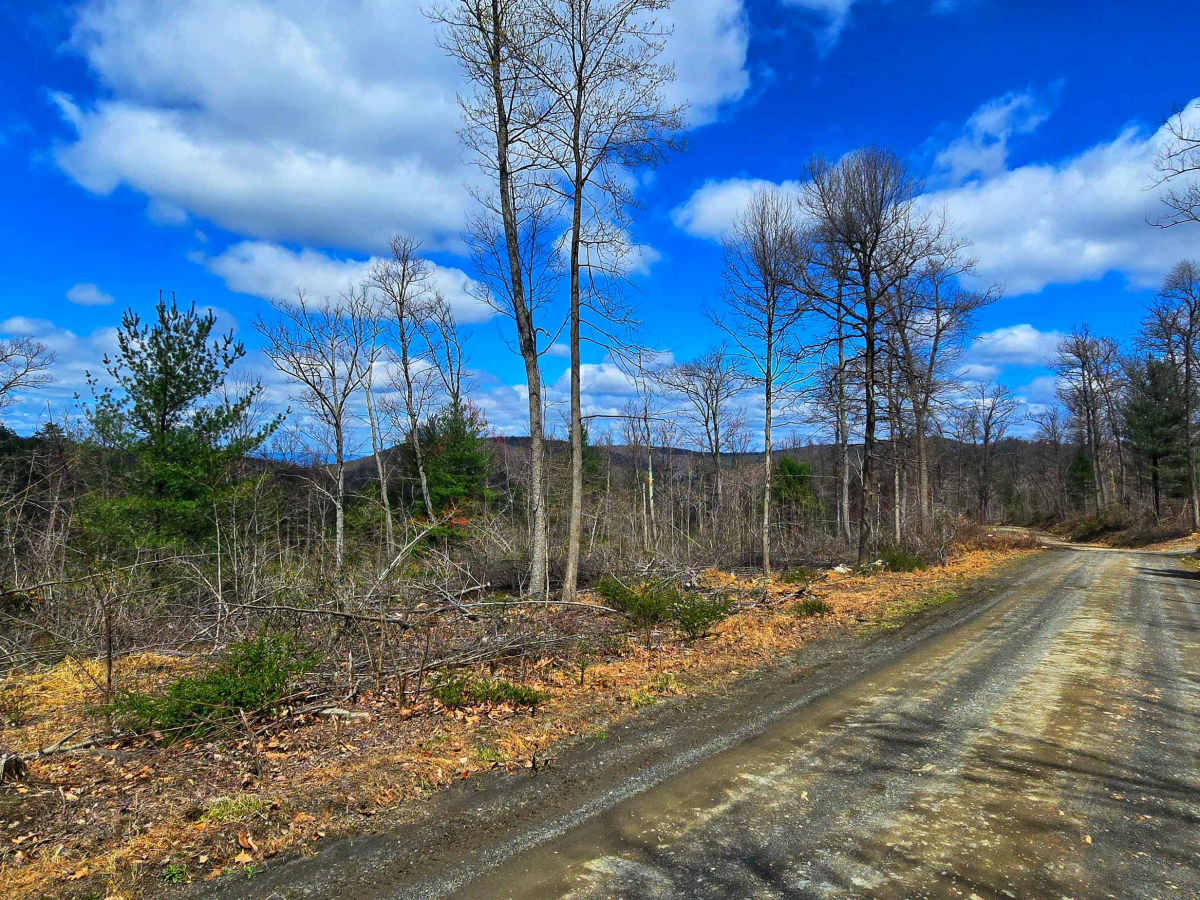 Wirt Road photo 2