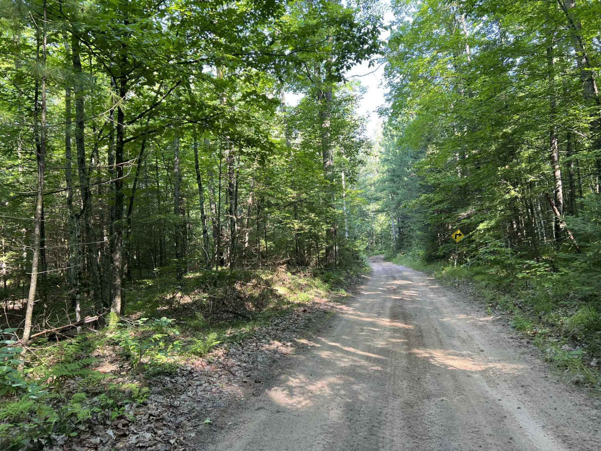 Carney Lake Road photo 6