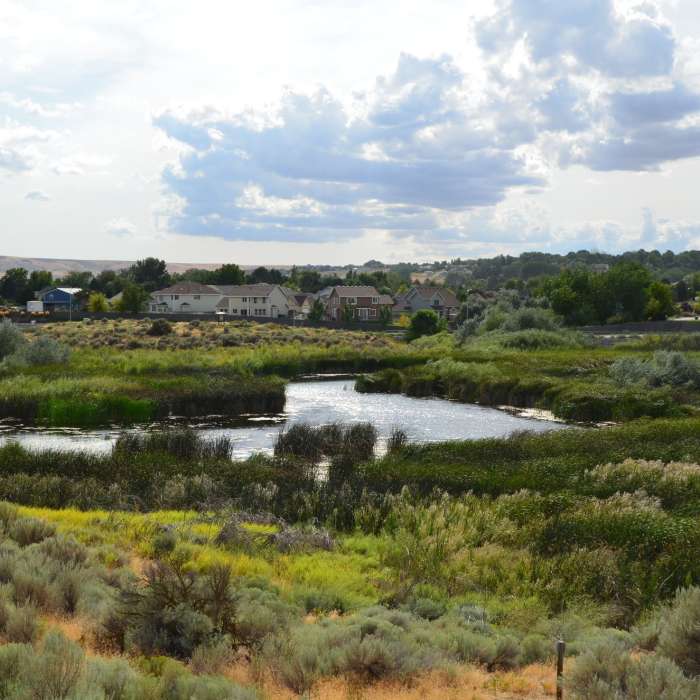 Near Rail Road Trail