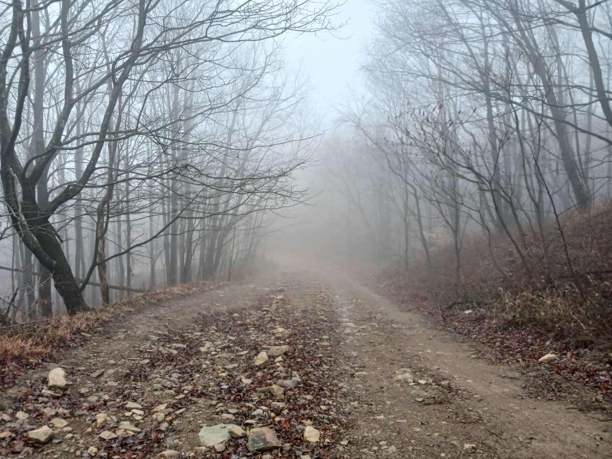 Boomerang - Rock Run Recreation Area photo 3