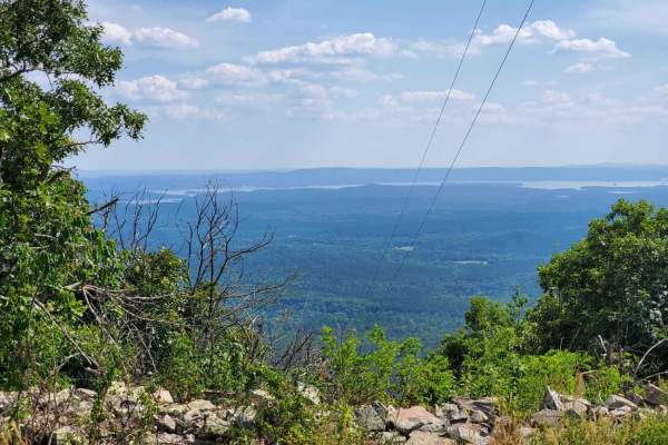 Ouachita Pinnacle 1952 FT