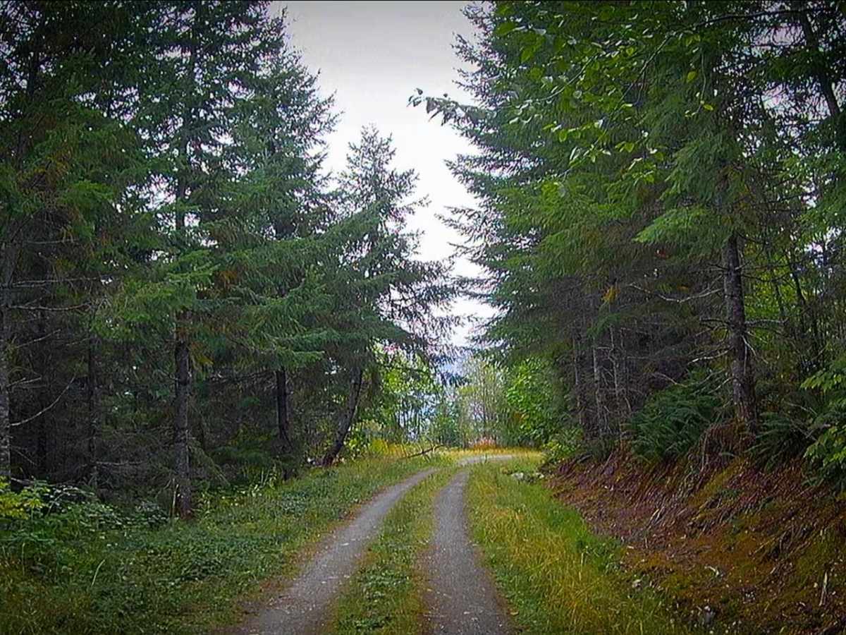 North Side Sauk River - FS 22 photo 5