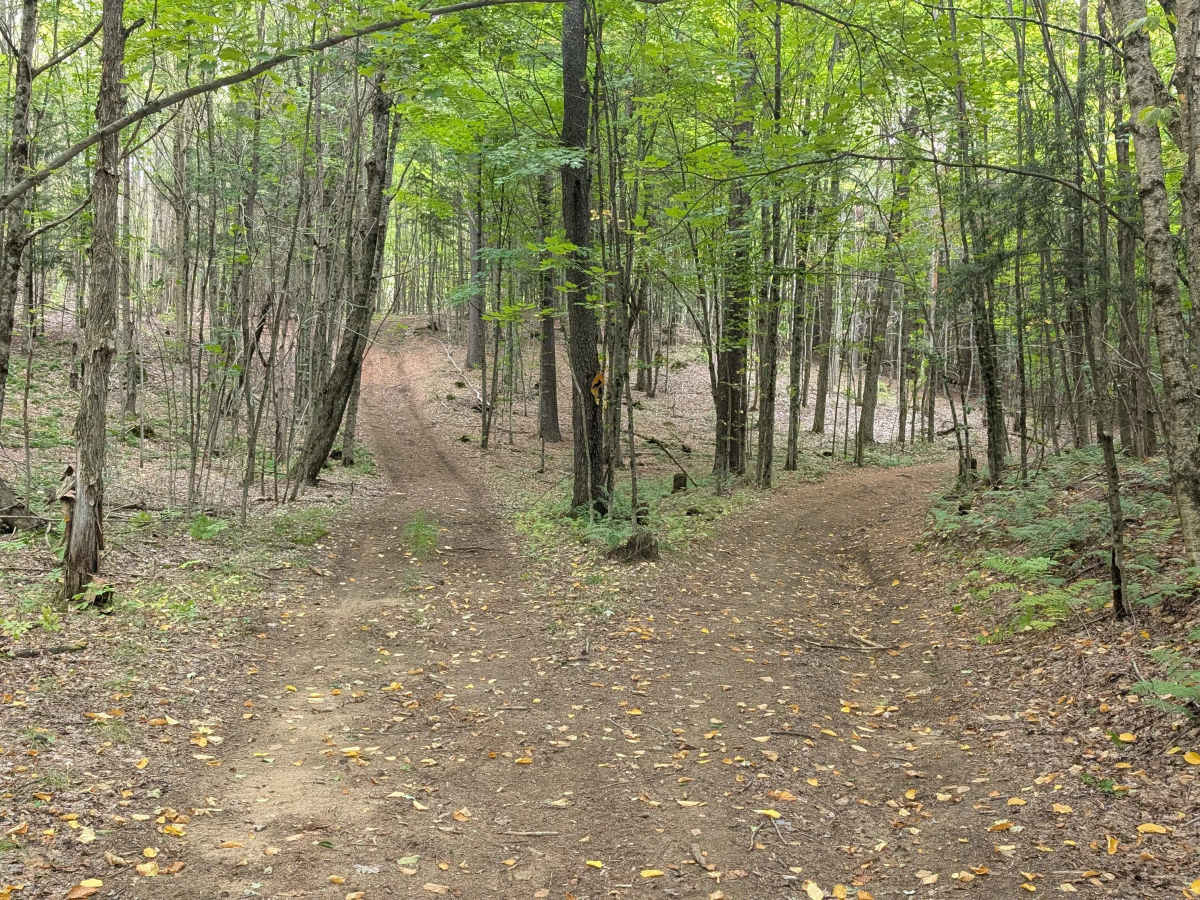 SLC-TRAIL 21 photo 5