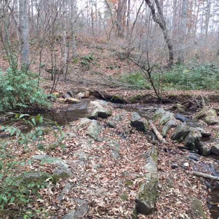 The trail crosses small creeks at several places Near King Mountain National Recreation Trail Loop