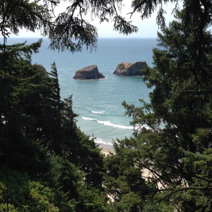 Near Crescent Beach Trail