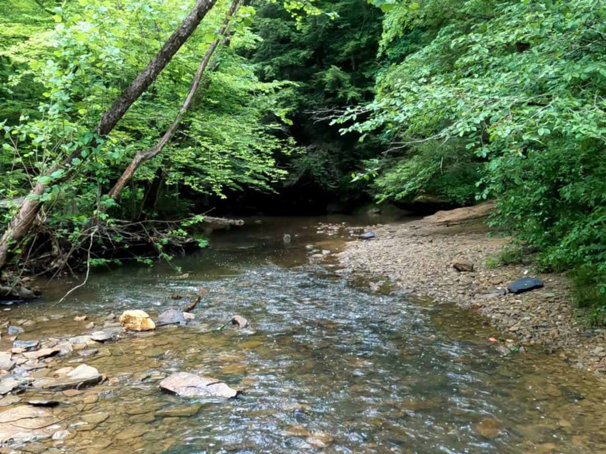 Brushy Fork Road photo 6
