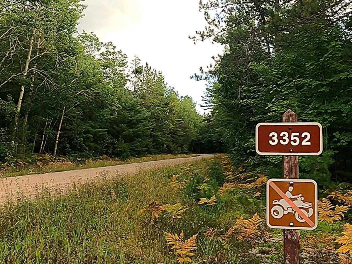 Waishkey River Truck Trail/Road - FS 3352 trail photo