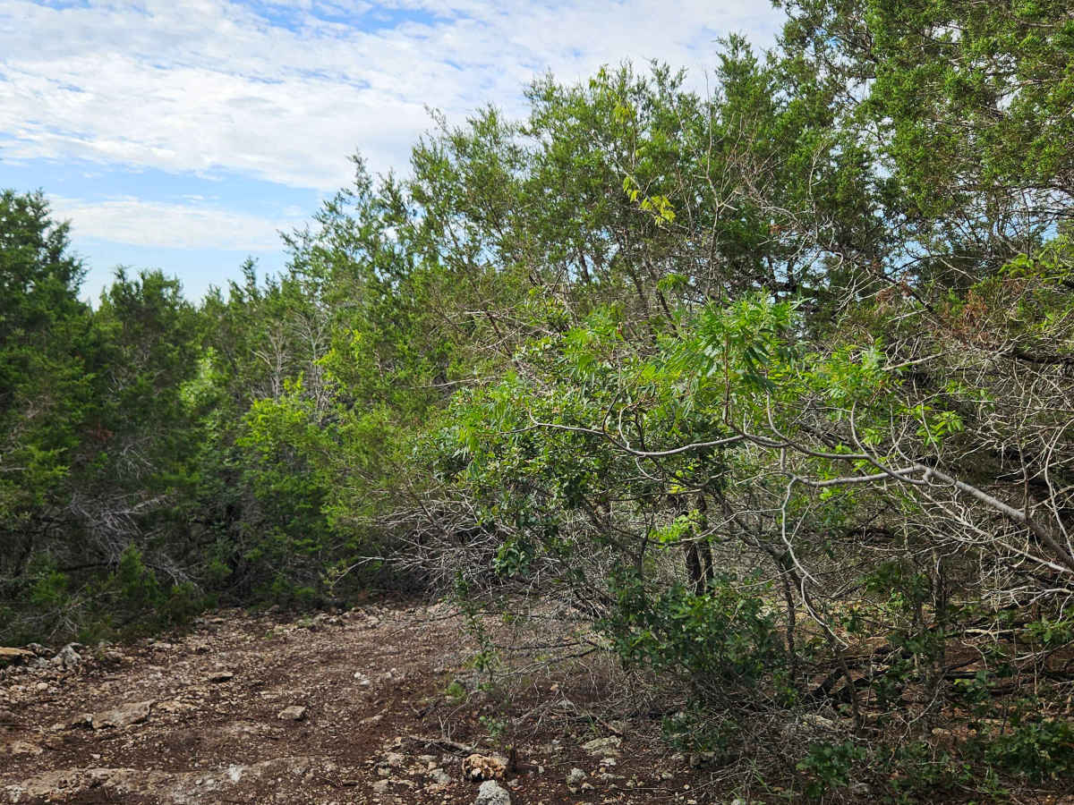 Outlaw Gulch photo 2