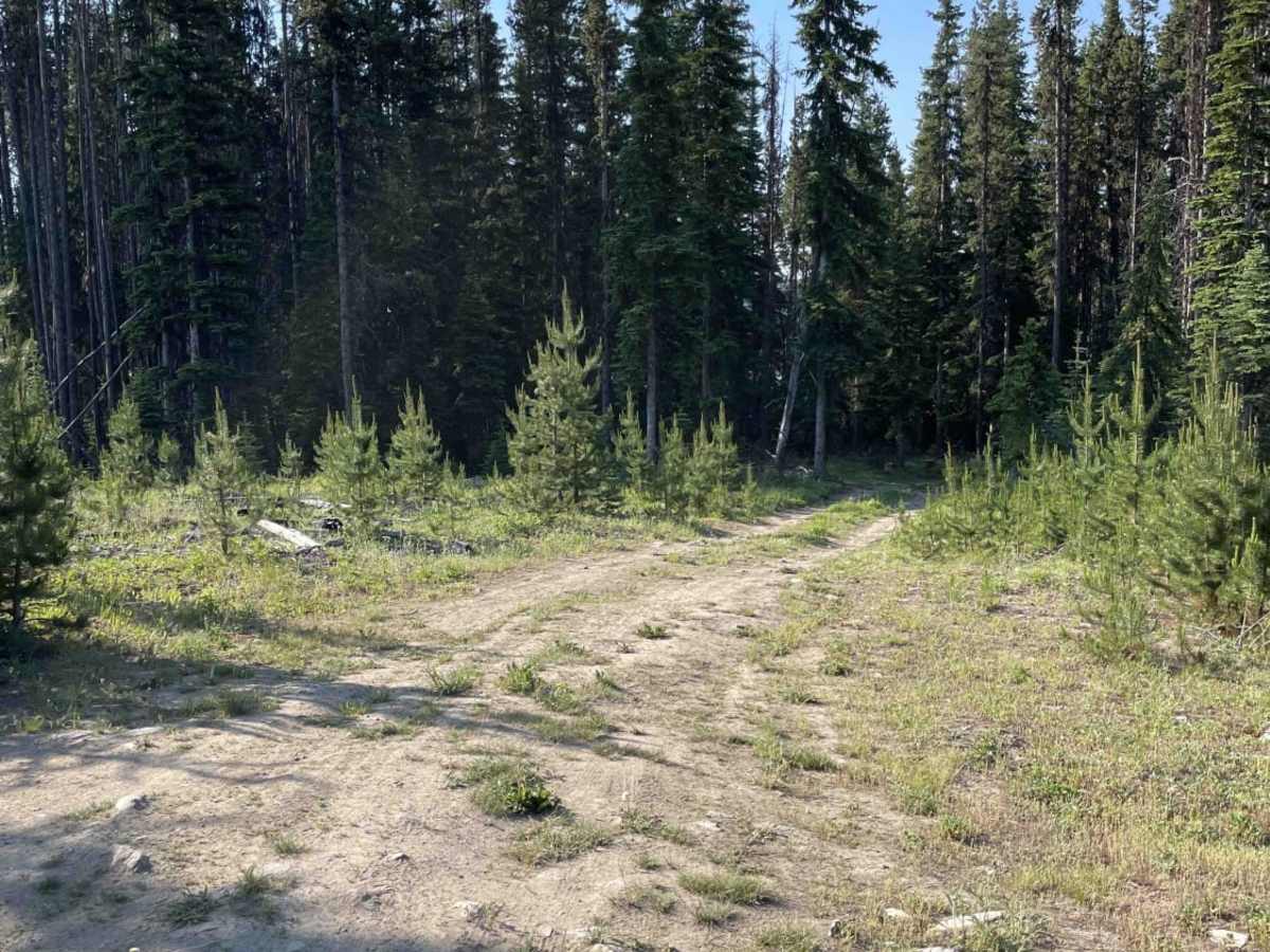 97C to Creighton Lake photo 6