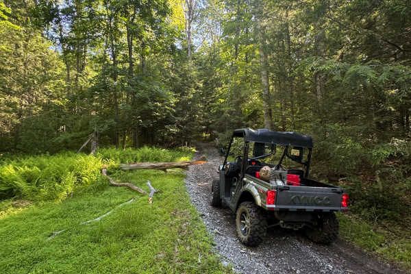 Pipeline Trail