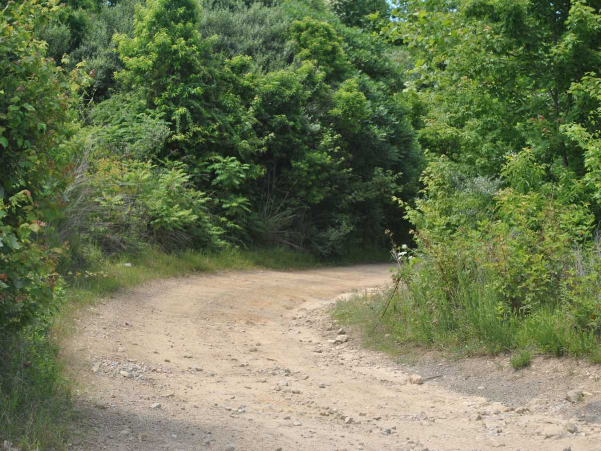 21 trail photo