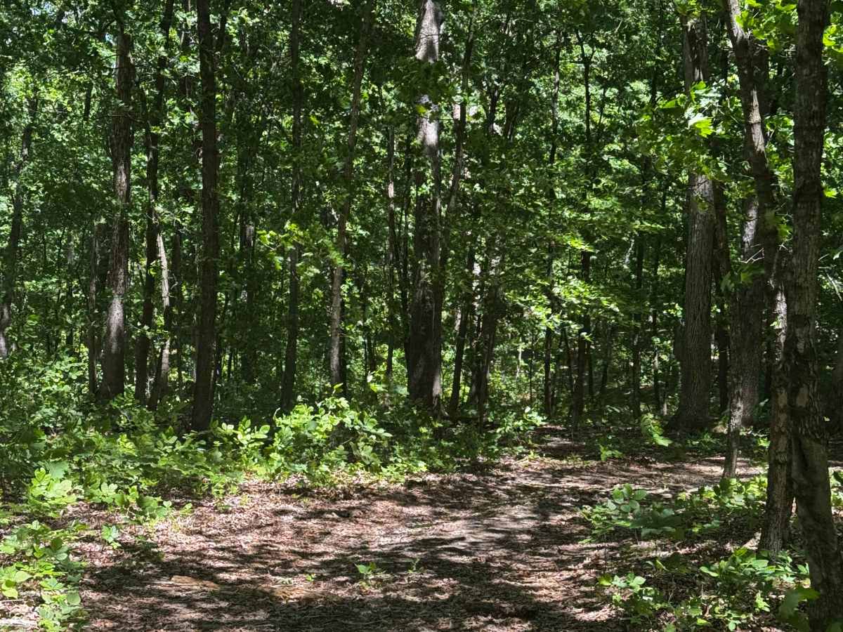 Inner Cut 102 trail photo