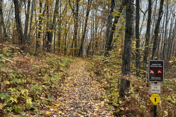 Paul Bunyan Southern Single Track Bypass