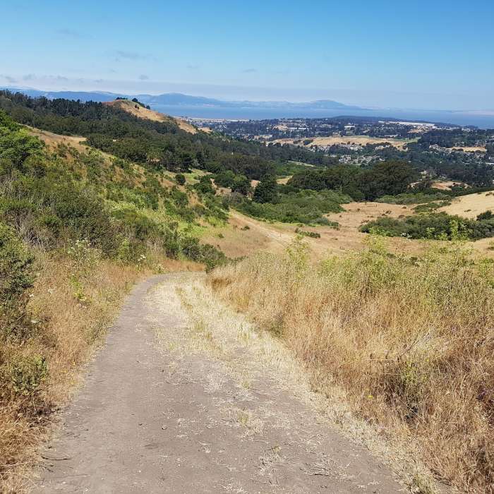 Near Old Nimitz Way/Green Ridge Trail