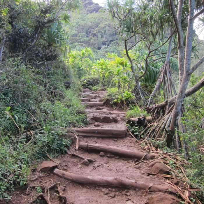 Near Kalalau Trail Near Kalalau Trail