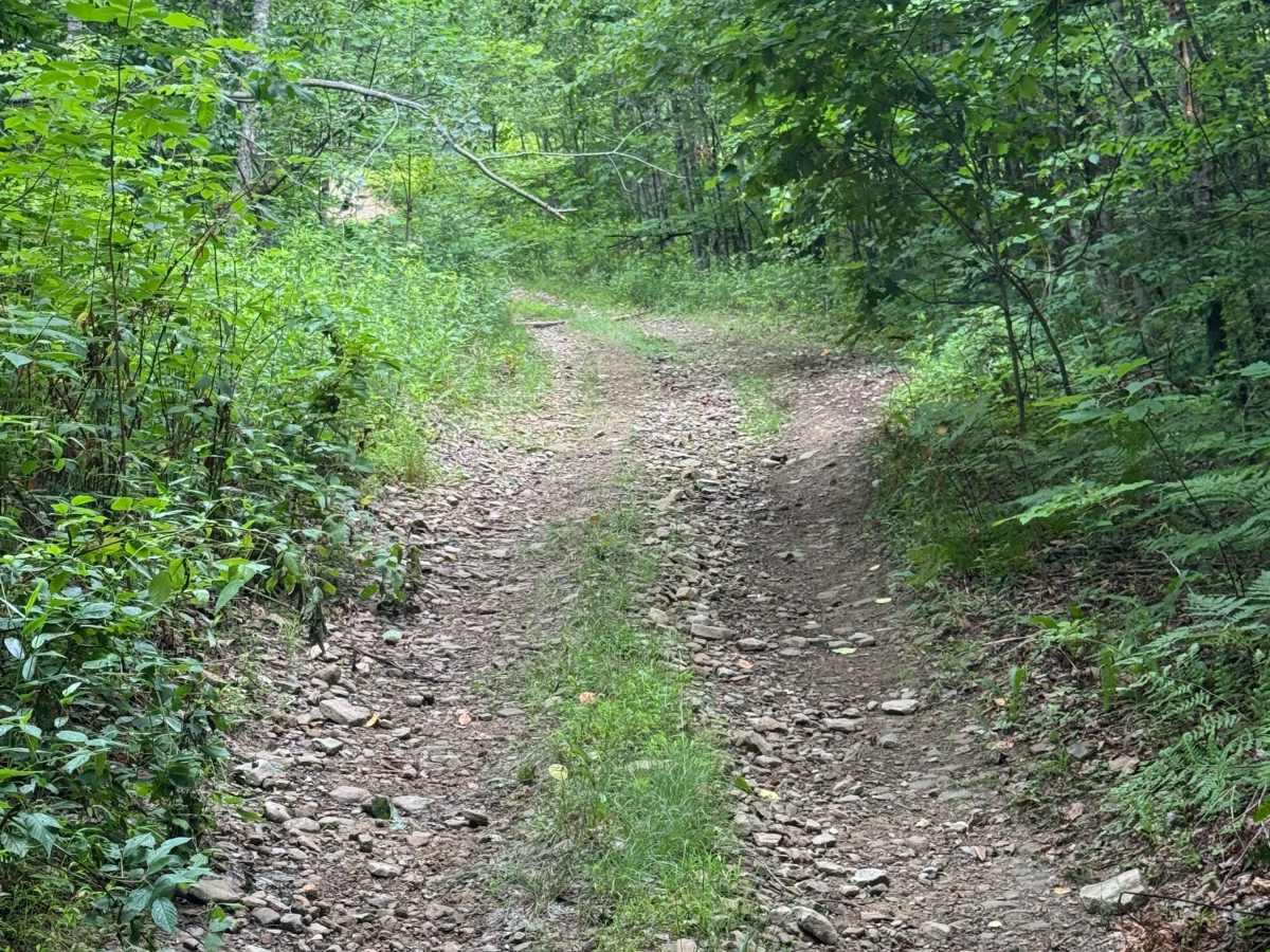 Trail 82 photo 6