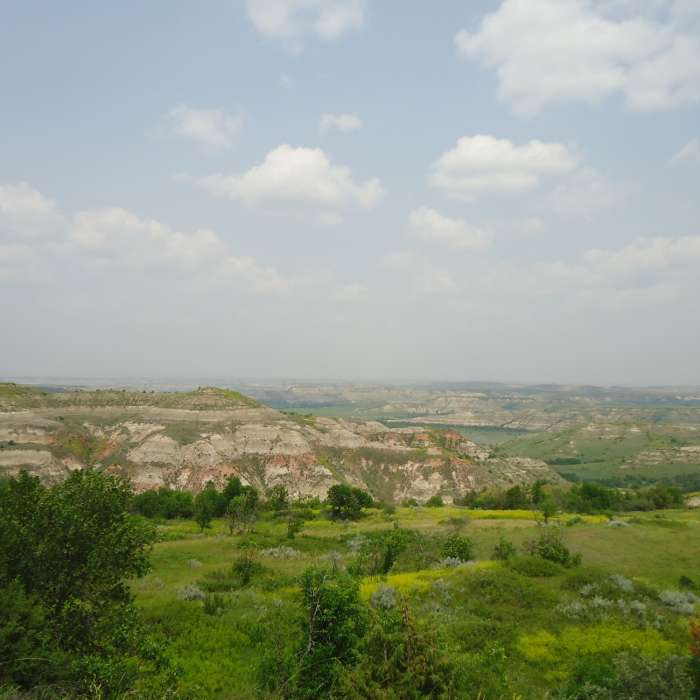 Near Petrified Forest Loop Trail