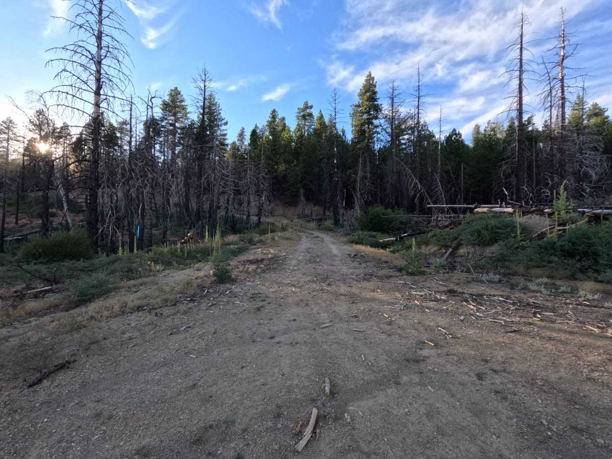 Trough Ridge Spur A - FS 24N05A photo 4