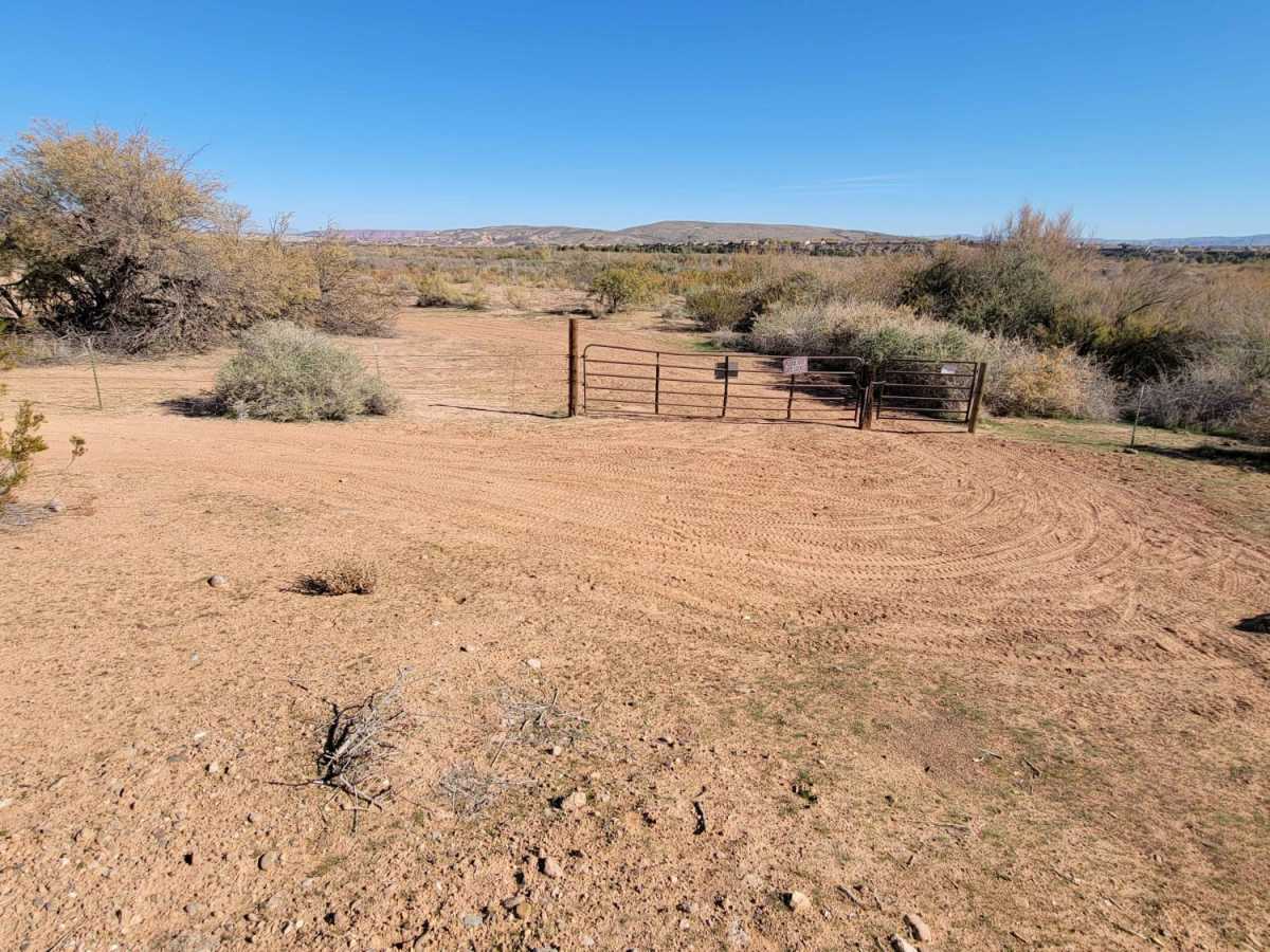 Curly Hollow Wash photo 5