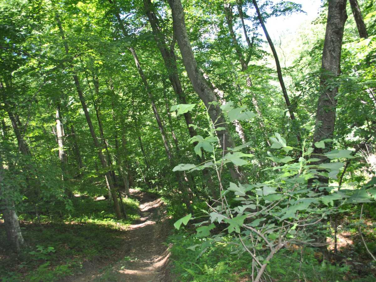 53 trail photo