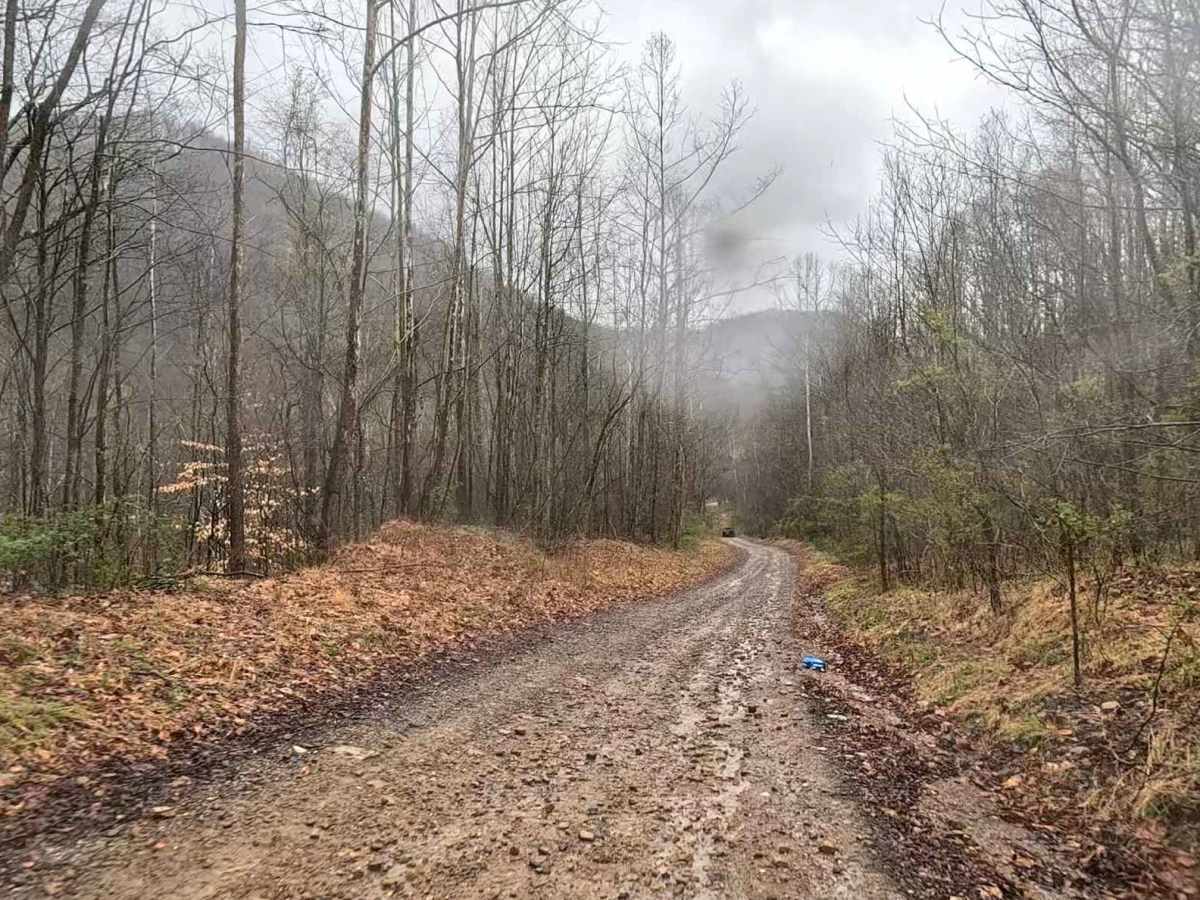 W6 trail photo