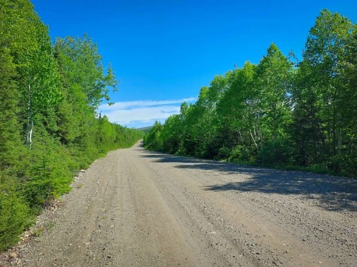 South Branch River Road photo 3