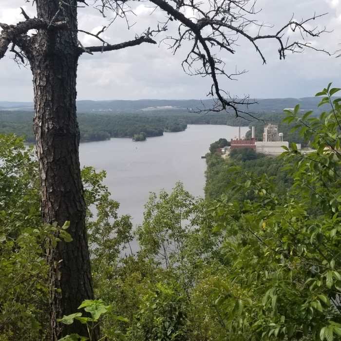 Near Dam Mountain Trail