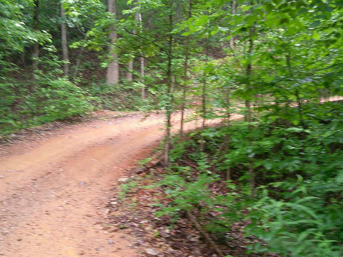Big Fork Athens Road photo 6