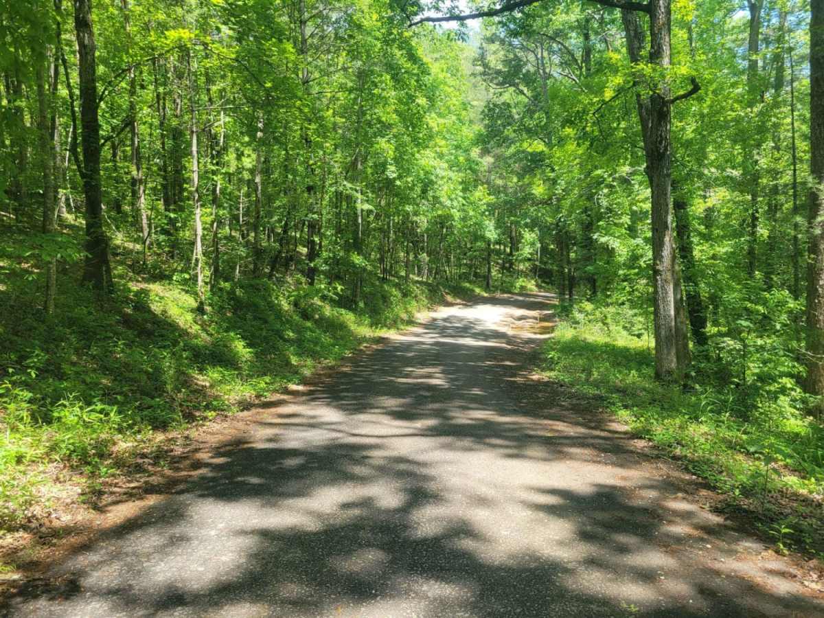 Ladd Springs Road (221) photo 5
