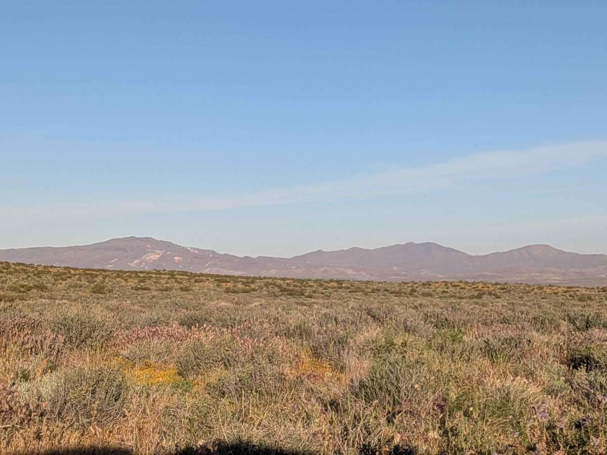 BLM SC94 North trail photo