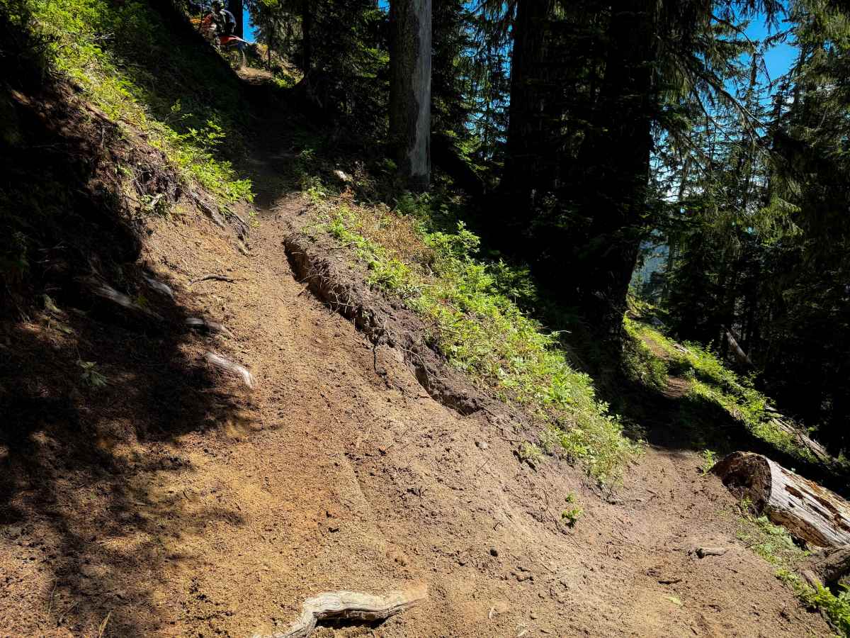 Allen Mountain Trail - 269 photo 3