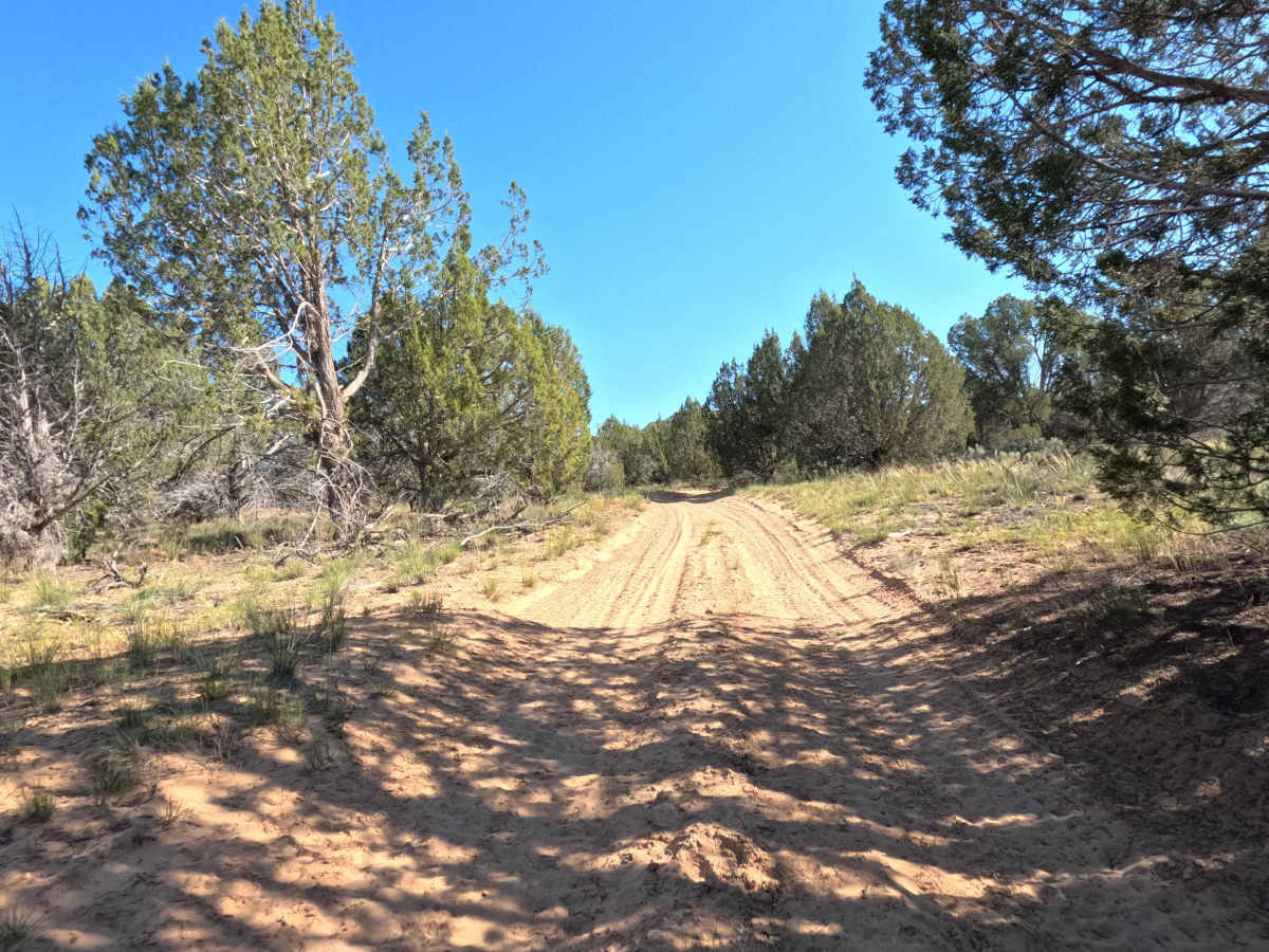 BLM 103S photo 3