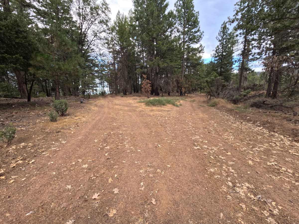 Kern Point - FS 20N55 photo 3