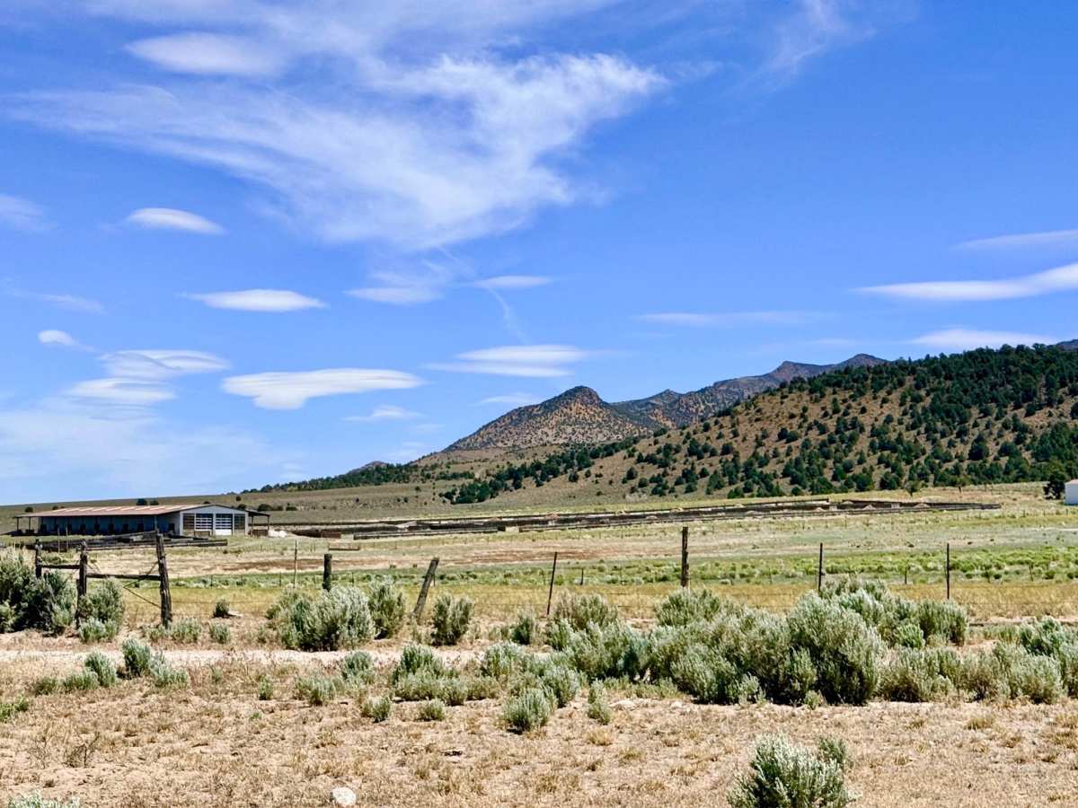 Segura Pass photo 5
