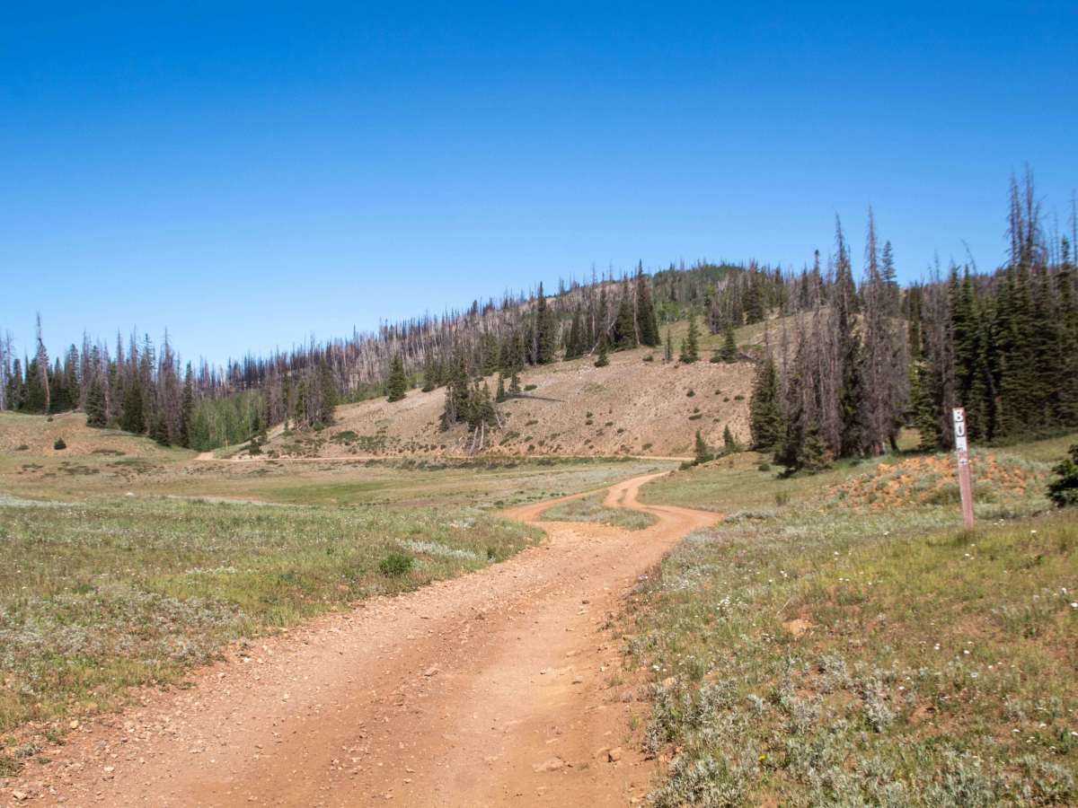 Soapstone - FR70304 photo 3