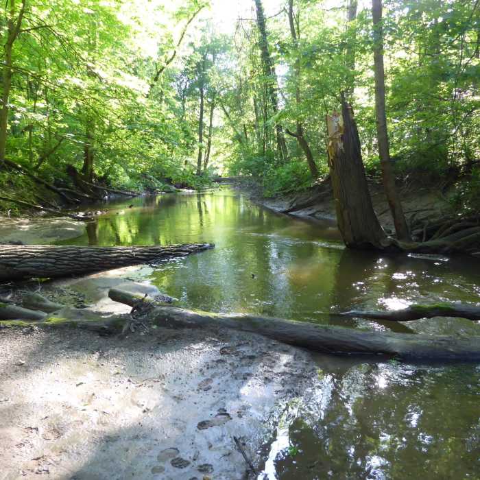 Near Heron Rookery Trail