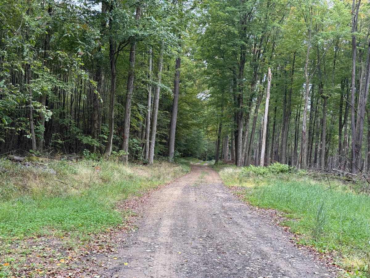 County Line B - FS 120B  photo 3