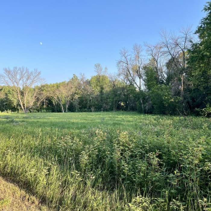 Near Marshan Lake Trail