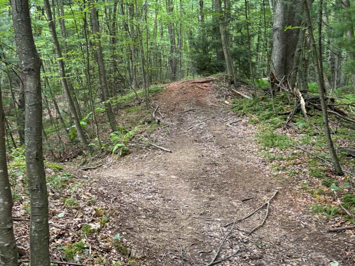 Trail 42 photo 5