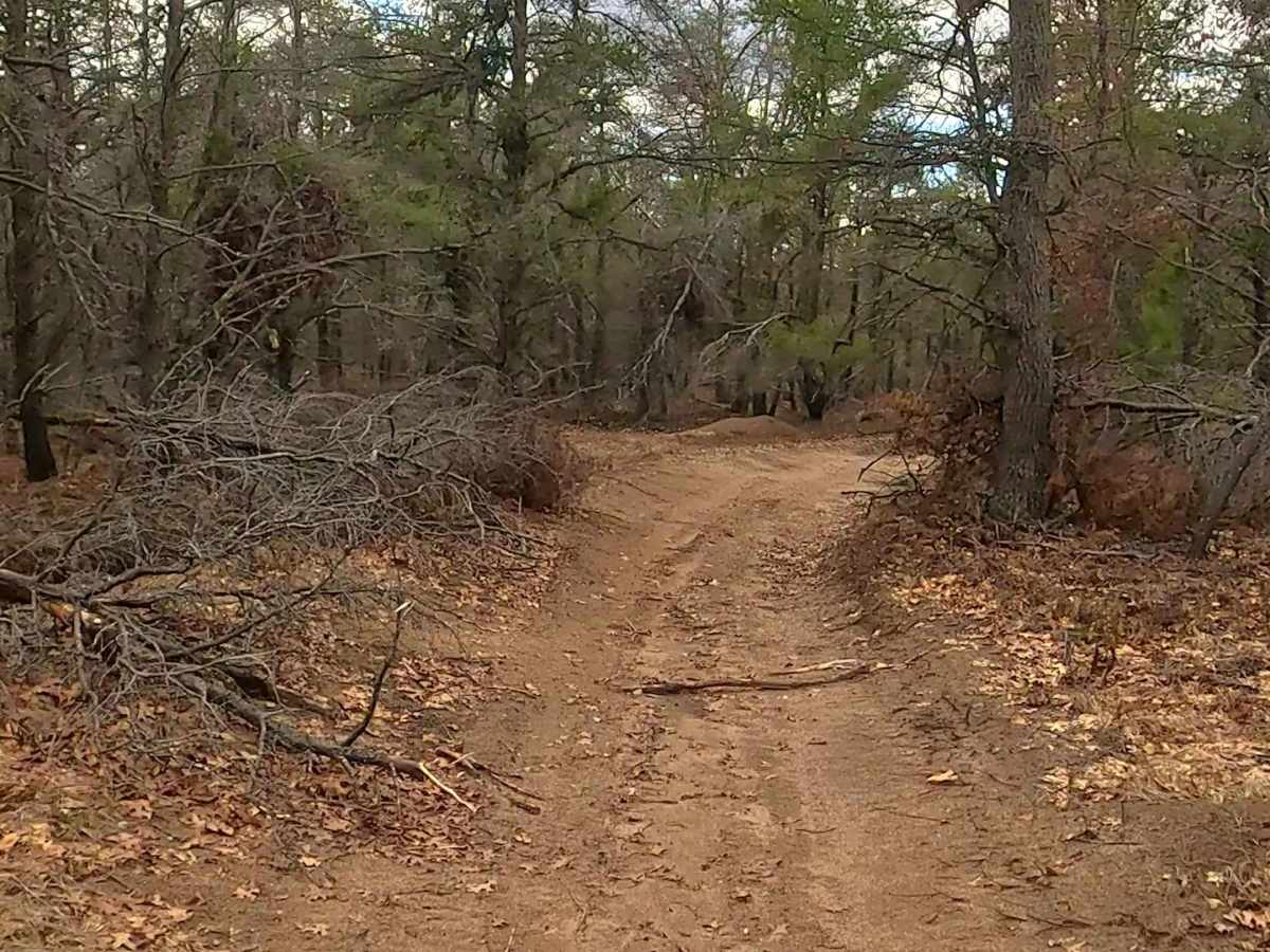 Bull Gap - ORV H57 photo 2