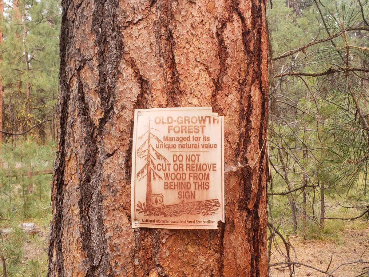 37 Spring Trail trail photo