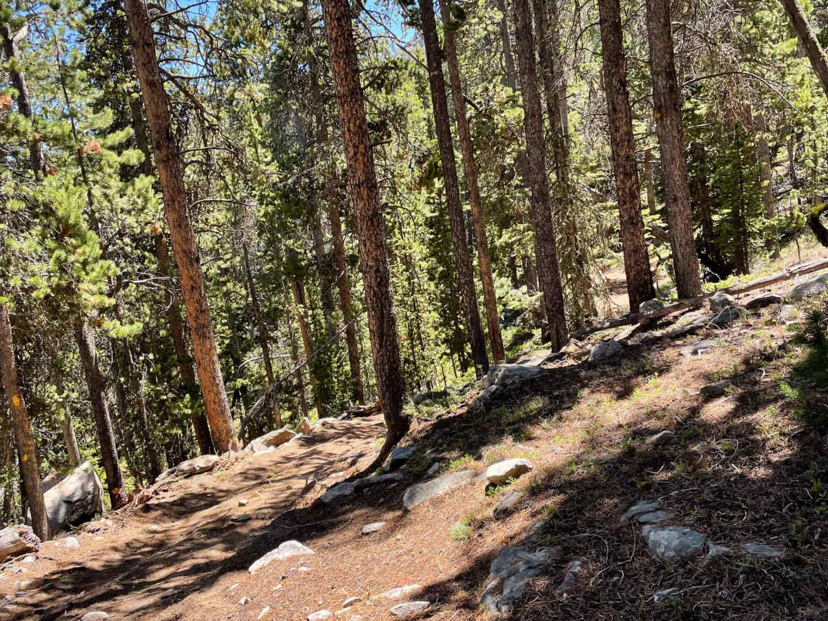 Wyoming Big Horns photo 3