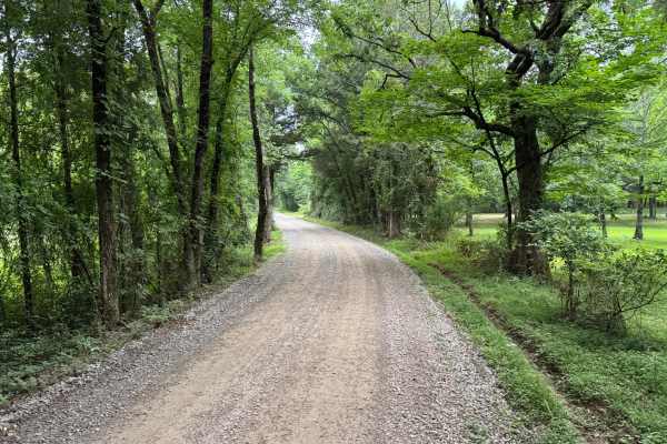 County Road 3355