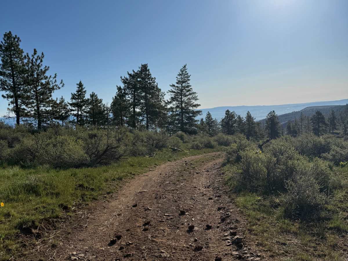 Observatory Loop photo 6