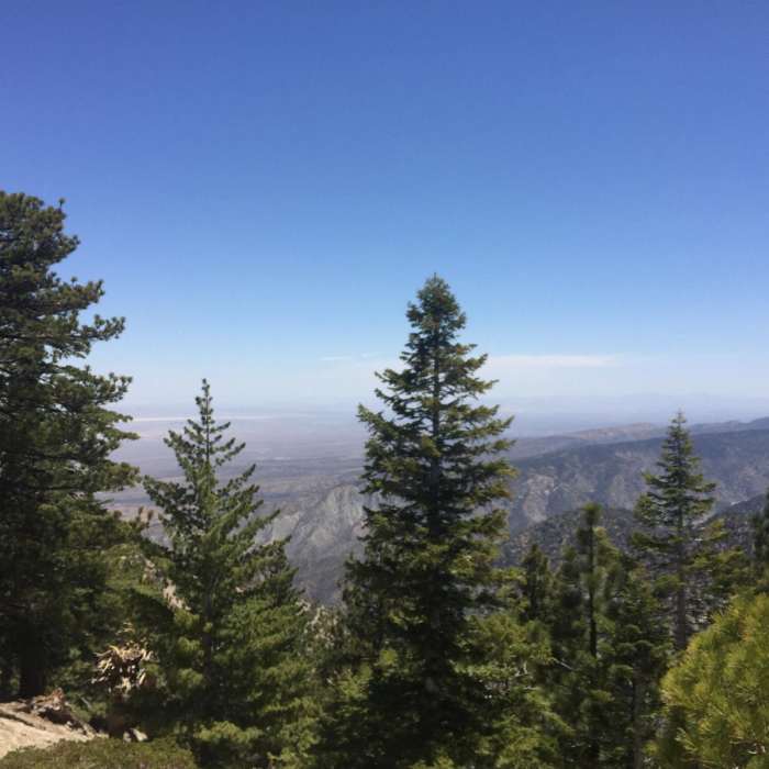 Near Pleasant View Ridge from Islip Saddle