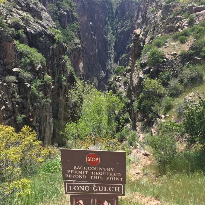 Near Long Draw (Gulch)