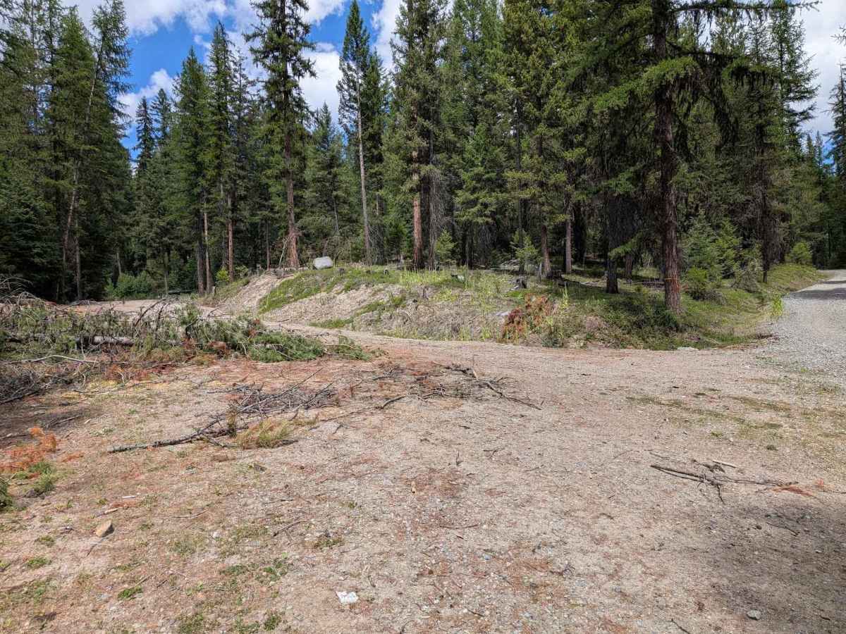 Sarsapkin Creek Road photo 2