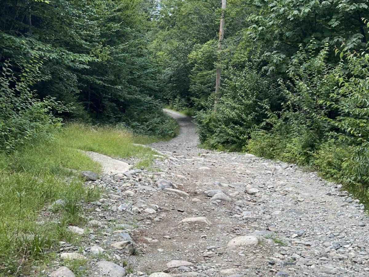 Bald Mountain Trail photo 4