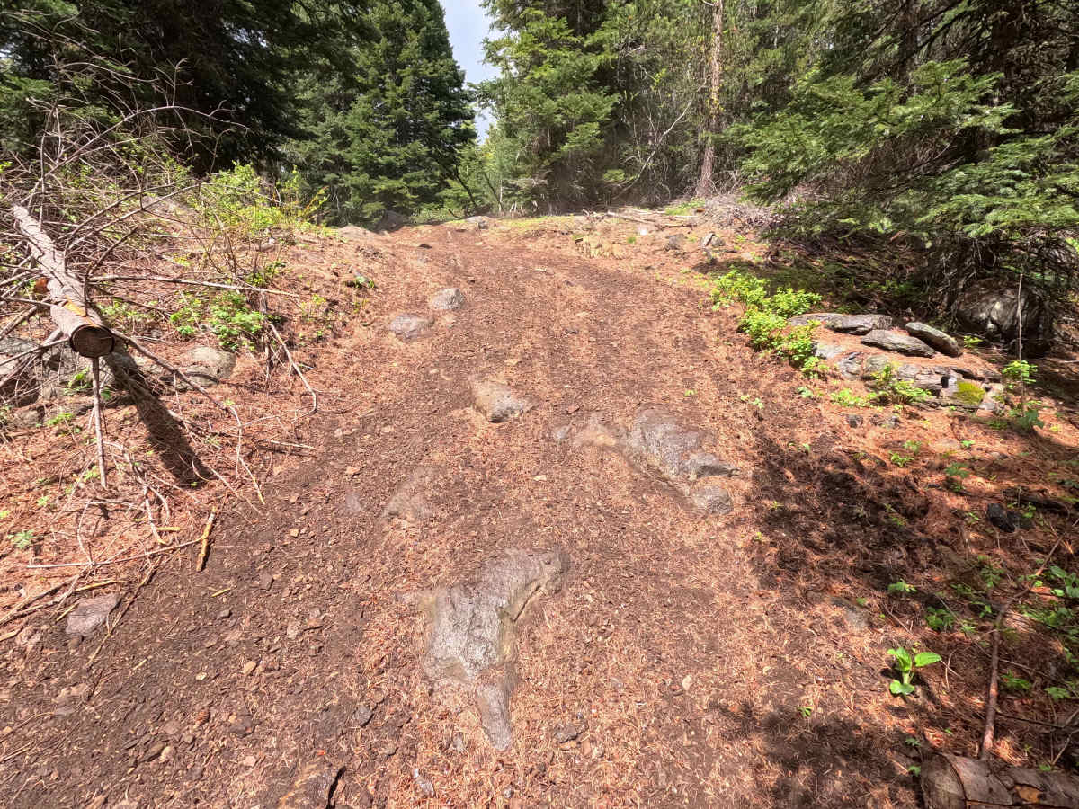 Jeepers Creepers - Trail 260 photo 3